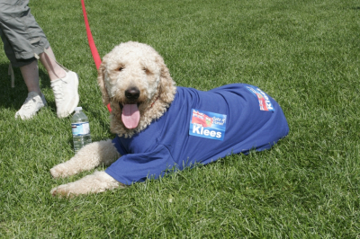 Frank-klees-bbq-wells-6822