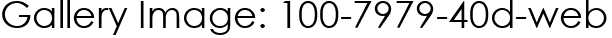 Gallery Image: 100-7979-40d-web