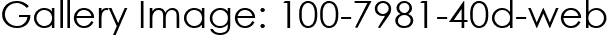 Gallery Image: 100-7981-40d-web