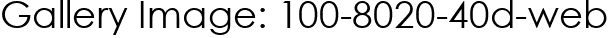 Gallery Image: 100-8020-40d-web
