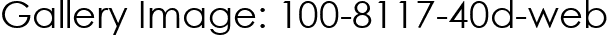 Gallery Image: 100-8117-40d-web
