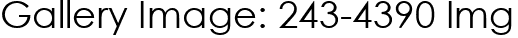 Gallery Image: 243-4390 Img