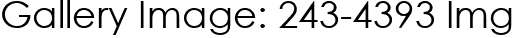Gallery Image: 243-4393 Img