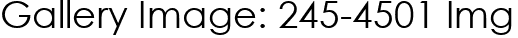Gallery Image: 245-4501 Img