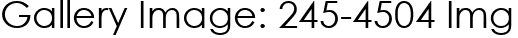 Gallery Image: 245-4504 Img