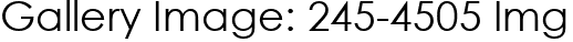 Gallery Image: 245-4505 Img