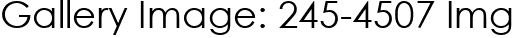 Gallery Image: 245-4507 Img