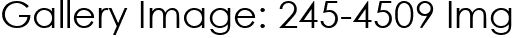 Gallery Image: 245-4509 Img