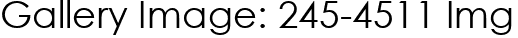 Gallery Image: 245-4511 Img