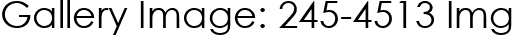 Gallery Image: 245-4513 Img