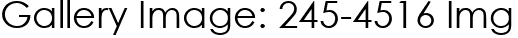 Gallery Image: 245-4516 Img