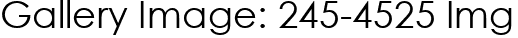 Gallery Image: 245-4525 Img
