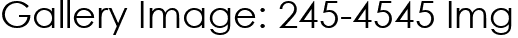 Gallery Image: 245-4545 Img