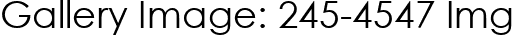 Gallery Image: 245-4547 Img