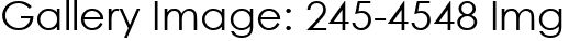 Gallery Image: 245-4548 Img