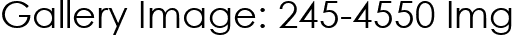 Gallery Image: 245-4550 Img