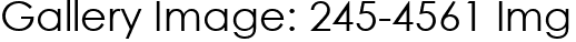 Gallery Image: 245-4561 Img