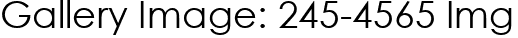 Gallery Image: 245-4565 Img