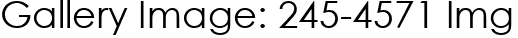Gallery Image: 245-4571 Img
