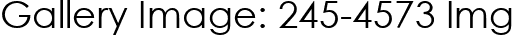 Gallery Image: 245-4573 Img
