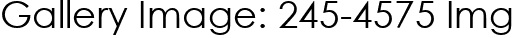 Gallery Image: 245-4575 Img