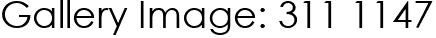 Gallery Image: 311 1147