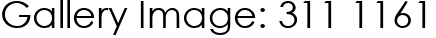 Gallery Image: 311 1161