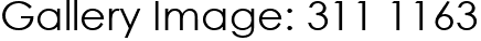 Gallery Image: 311 1163
