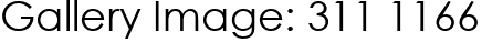 Gallery Image: 311 1166