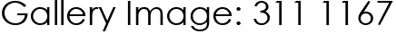 Gallery Image: 311 1167