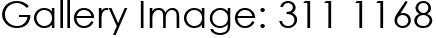 Gallery Image: 311 1168