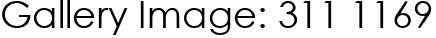 Gallery Image: 311 1169