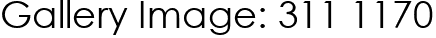 Gallery Image: 311 1170
