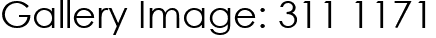 Gallery Image: 311 1171