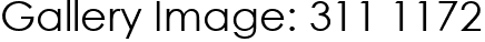 Gallery Image: 311 1172