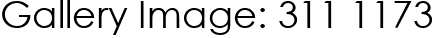 Gallery Image: 311 1173