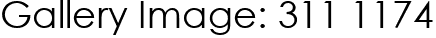 Gallery Image: 311 1174