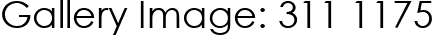 Gallery Image: 311 1175