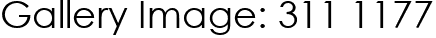 Gallery Image: 311 1177