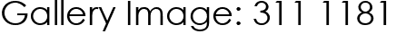 Gallery Image: 311 1181