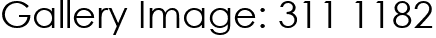 Gallery Image: 311 1182