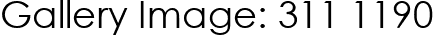 Gallery Image: 311 1190