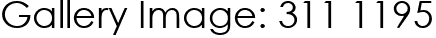 Gallery Image: 311 1195