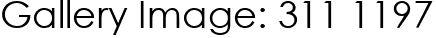 Gallery Image: 311 1197