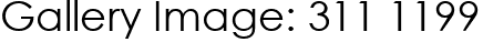 Gallery Image: 311 1199