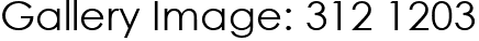 Gallery Image: 312 1203