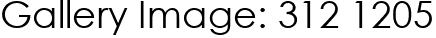 Gallery Image: 312 1205
