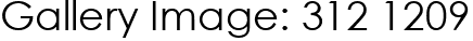 Gallery Image: 312 1209