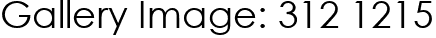 Gallery Image: 312 1215