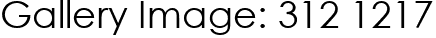 Gallery Image: 312 1217